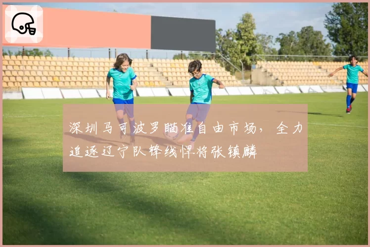 深圳马可波罗瞄准自由市场,全力追逐辽宁队锋线悍将张镇麟