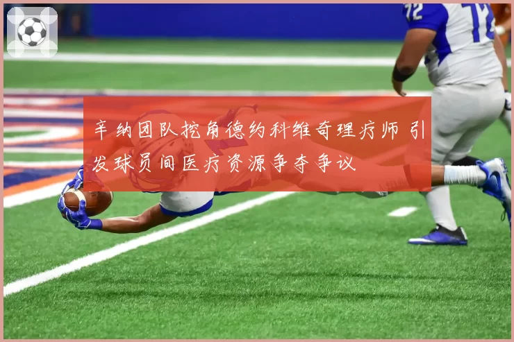 辛纳团队挖角德约科维奇理疗师 引发球员间医疗资源争夺争议