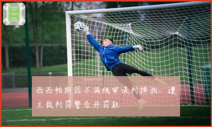 西西帕斯因不满线审误判摔拍,遭主裁判罚警告并罚款